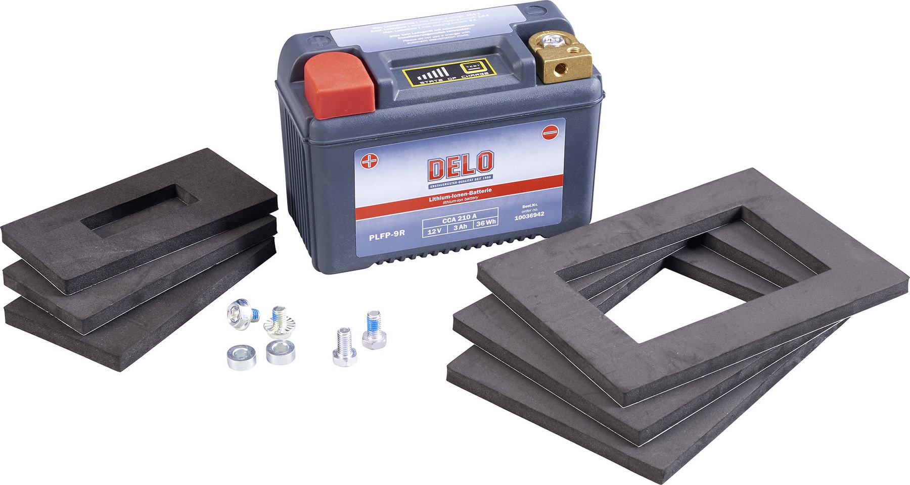 DELO Lithium-Ion Batteries - Rider13